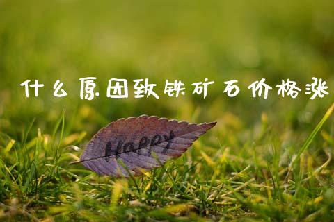什么原因致铁矿石价格涨_https://cj002.lansai.wang_股市问答_第1张