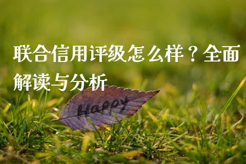 联合信用评级怎么样？全面解读与分析_https://cj002.lansai.wang_保险问答_第1张
