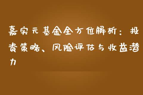 嘉实元基金全方位解析：投资策略、风险评估与收益潜力_https://cj002.lansai.wang_金融问答_第1张