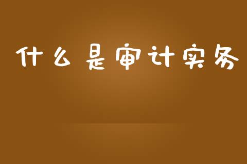 什么是审计实务_https://cj002.lansai.wang_会计问答_第1张