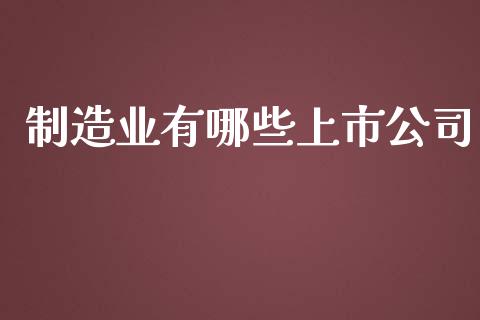 制造业有哪些上市公司_https://cj002.lansai.wang_财经百问_第1张