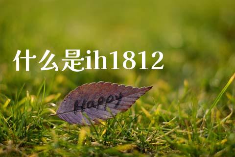 什么是ih1812_https://cj002.lansai.wang_财经百问_第1张