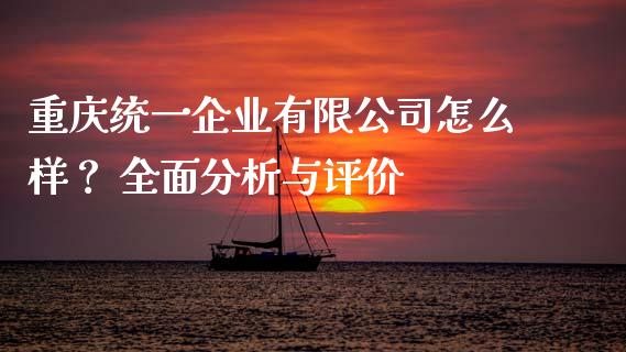 重庆统一企业有限公司怎么样？ 全面分析与评价_https://cj002.lansai.wang_会计问答_第1张