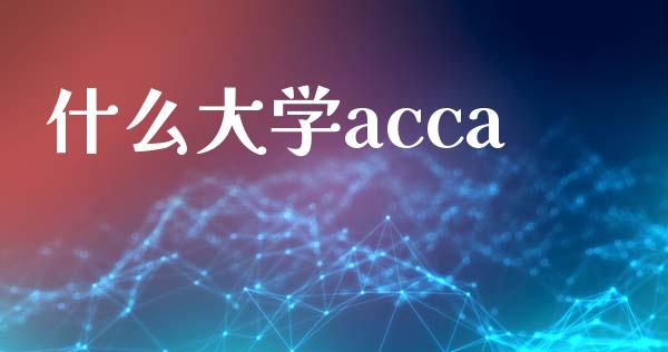 什么大学acca_https://cj002.lansai.wang_会计问答_第1张