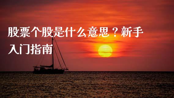 股票个股是什么意思？新手入门指南_https://cj002.lansai.wang_会计问答_第1张