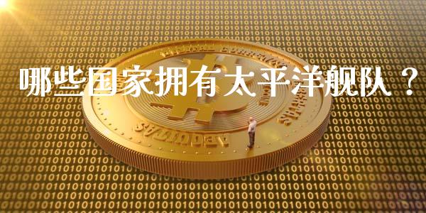 哪些国家拥有太平洋舰队？_https://cj002.lansai.wang_股市问答_第1张