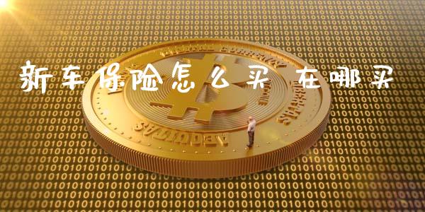 新车保险怎么买 在哪买_https://cj002.lansai.wang_保险问答_第1张