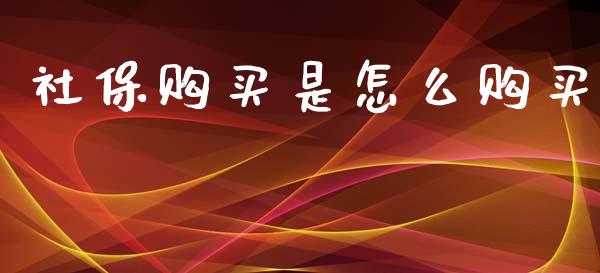 社保购买是怎么购买_https://cj002.lansai.wang_保险问答_第1张
