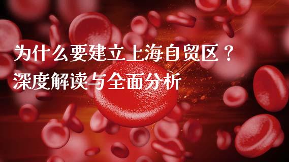 为什么要建立上海自贸区？深度解读与全面分析_https://cj002.lansai.wang_财经问答_第1张