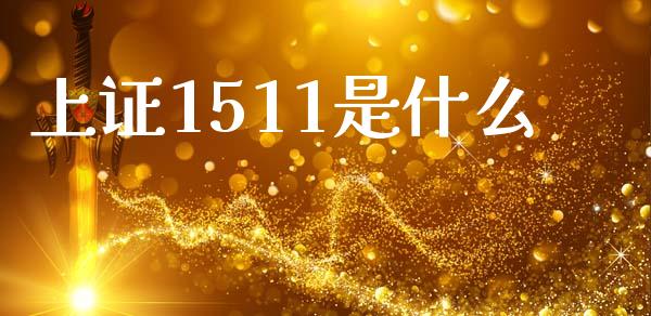 上证1511是什么_https://cj002.lansai.wang_会计问答_第1张