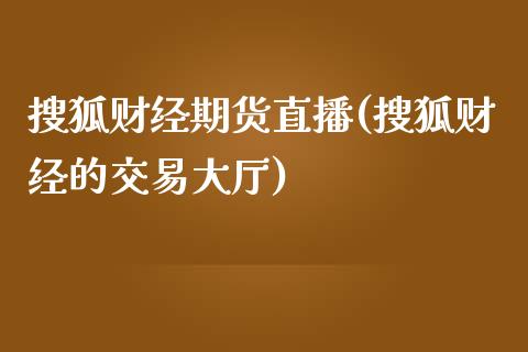 搜狐财经期货直播(搜狐财经的交易大厅)_https://cj002.lansai.wang_理财问答_第1张