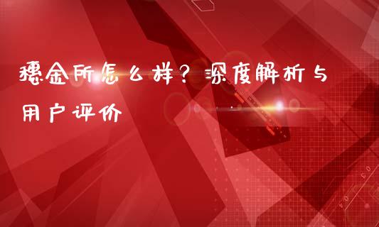 穗金所怎么样？深度解析与用户评价_https://cj002.lansai.wang_理财问答_第1张