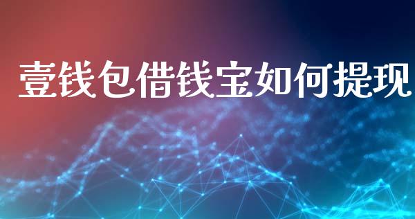 壹钱包借钱宝如何提现_https://cj002.lansai.wang_财经百问_第1张