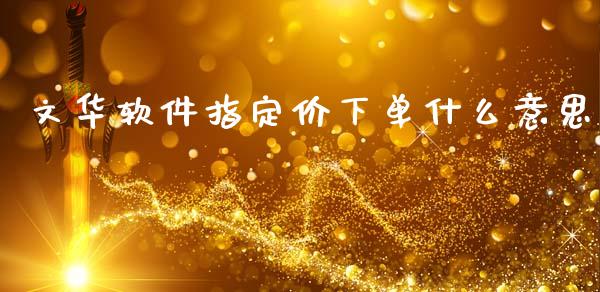 文华软件指定价下单什么意思_https://cj002.lansai.wang_期货问答_第1张