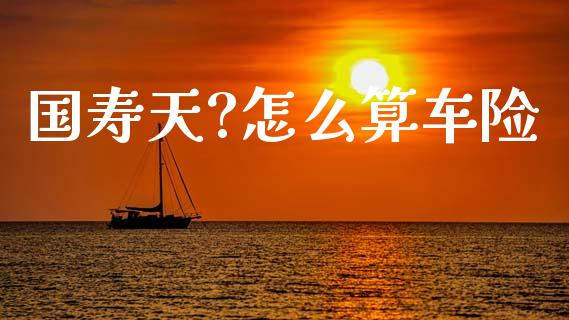 国寿天?怎么算车险_https://cj002.lansai.wang_保险问答_第1张