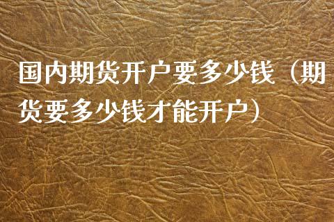 国内期货开户要多少钱（期货要多少钱才能开户）_https://cj002.lansai.wang_理财问答_第1张