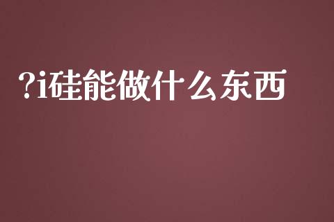 ?i硅能做什么东西_https://cj002.lansai.wang_会计问答_第1张