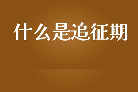 什么是追征期_https://cj002.lansai.wang_会计问答_第1张
