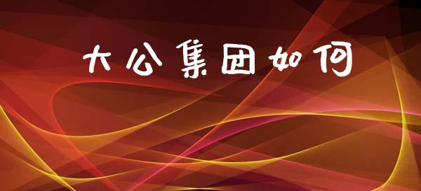 大公集团如何_https://cj002.lansai.wang_财经问答_第1张