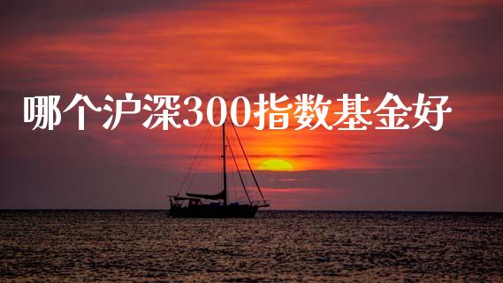 哪个沪深300指数基金好_https://cj002.lansai.wang_理财问答_第1张