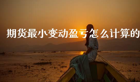 期货最小变动盈亏怎么计算的_https://cj002.lansai.wang_期货问答_第1张