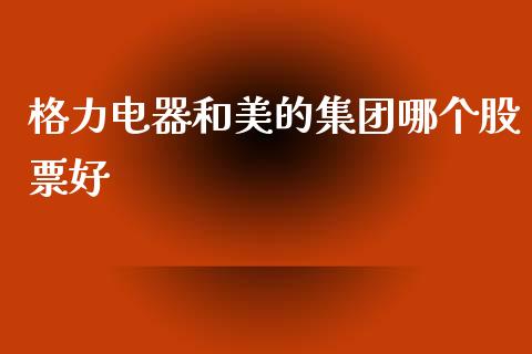 格力电器和美的集团哪个股票好_https://cj002.lansai.wang_财经百问_第1张