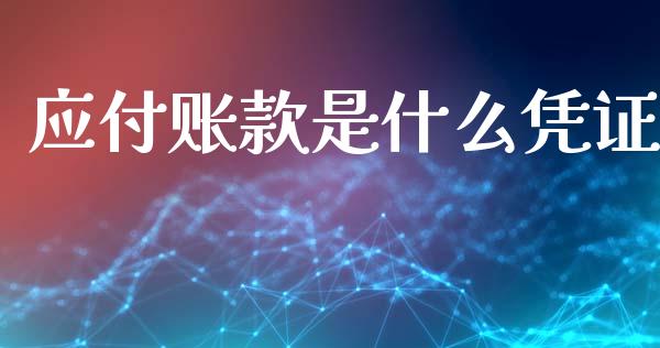 应付账款是什么凭证_https://cj002.lansai.wang_会计问答_第1张