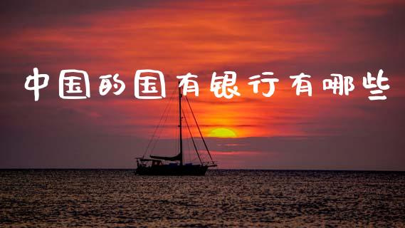 中国的国有银行有哪些_https://cj002.lansai.wang_理财问答_第1张