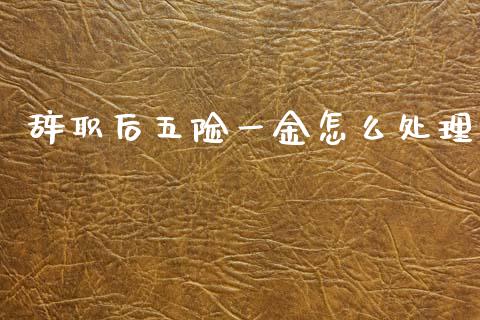 辞职后五险一金怎么处理_https://cj002.lansai.wang_保险问答_第1张