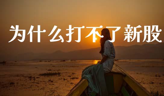 为什么打不了新股_https://cj002.lansai.wang_金融问答_第1张