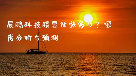展鹏科技股票能涨多少？深度分析与预测_https://cj002.lansai.wang_会计问答_第1张