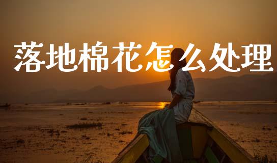 落地棉花怎么处理_https://cj002.lansai.wang_保险问答_第1张