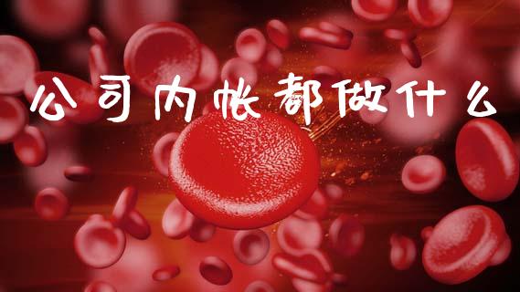 公司内帐都做什么_https://cj002.lansai.wang_会计问答_第1张