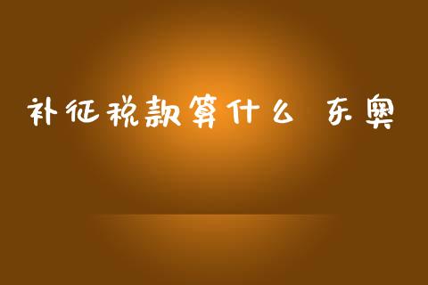 补征税款算什么 东奥_https://cj002.lansai.wang_会计问答_第1张