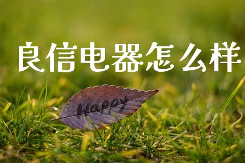 良信电器怎么样_https://cj002.lansai.wang_财经百问_第1张
