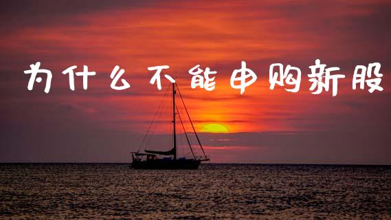 为什么不能申购新股_https://cj002.lansai.wang_财经百问_第1张