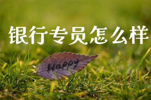 银行专员怎么样_https://cj002.lansai.wang_理财问答_第1张