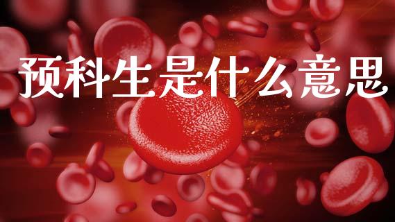 预科生是什么意思_https://cj002.lansai.wang_会计问答_第1张