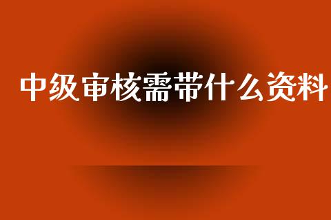 中级审核需带什么资料_https://cj002.lansai.wang_会计问答_第1张