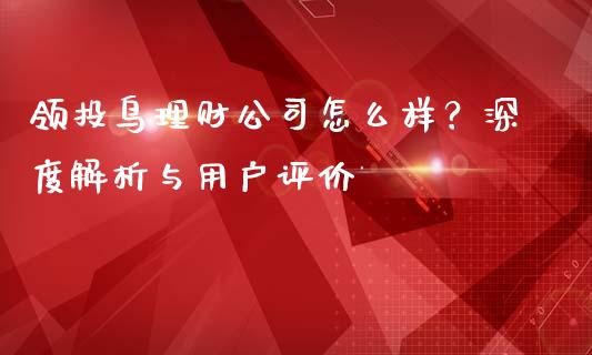 领投鸟理财公司怎么样？深度解析与用户评价_https://cj002.lansai.wang_理财问答_第1张