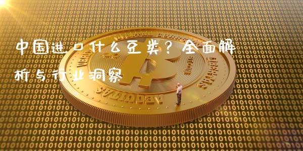中国进口什么豆类？全面解析与行业洞察_https://cj002.lansai.wang_金融问答_第1张