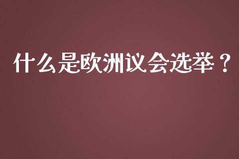 什么是欧洲议会选举？_https://cj002.lansai.wang_会计问答_第1张