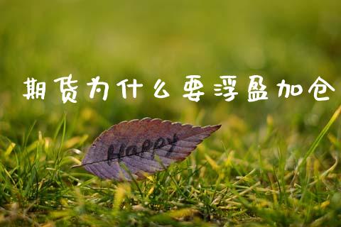 期货为什么要浮盈加仓_保险问答_第1张_财经百问网 期货为什么要浮盈加仓_https://cj002.lansai.wang_保险问答_第1张