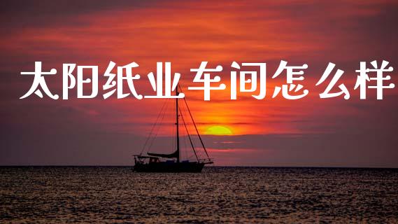 太阳纸业车间怎么样_https://cj002.lansai.wang_股市问答_第1张
