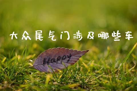 大众尾气门涉及哪些车_https://cj002.lansai.wang_财经百问_第1张