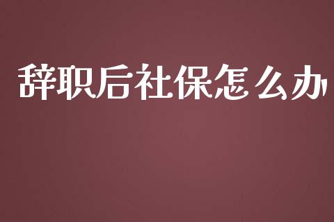 辞职后社保怎么办_https://cj002.lansai.wang_保险问答_第1张