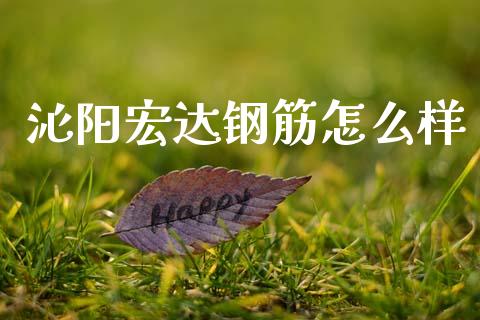 沁阳宏达钢筋怎么样_https://cj002.lansai.wang_金融问答_第1张