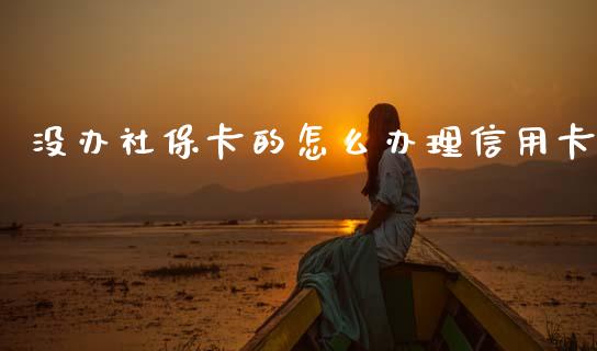 没办社保卡的怎么办理信用卡_https://cj002.lansai.wang_保险问答_第1张