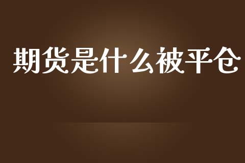 期货是什么被平仓_https://cj002.lansai.wang_期货问答_第1张