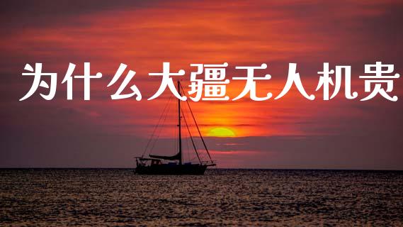 为什么大疆无人机贵_https://cj002.lansai.wang_财经百问_第1张